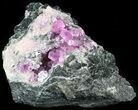 Cobaltoan Calcite Crystal Cluster on Matrix - Morocco #44770-1